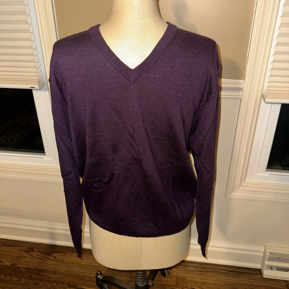 Jos. A. Bank Men's Deep Purple V-Neck Sweater